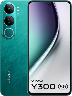 Y300