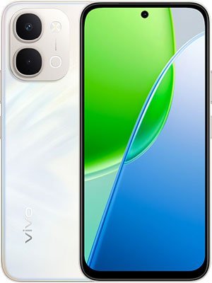Y31d