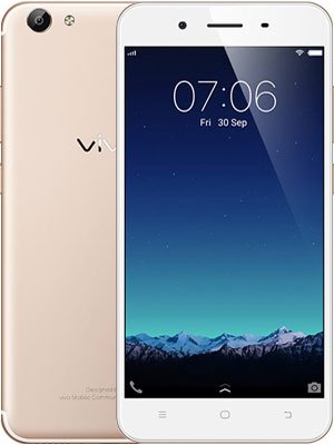 Y65 2017